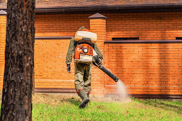 Top rated local Mosquito Control specialists in Clinton, TN